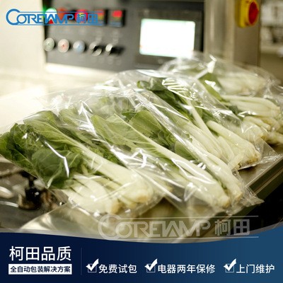 柯田廠家定制氣動伺服蔬菜包裝機 全自動大白菜套袋機
