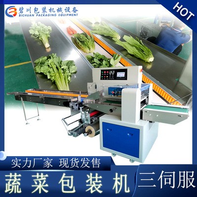 廠家直供蔬菜包裝機(jī)蔬菜瓜果打包機(jī)自動(dòng)感應(yīng)打孔貼標(biāo)葉菜包裝機(jī)械