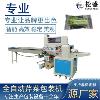 廠家直供全自動蔬菜包裝機蔬菜水果包裝機械蔬菜自動包裝機設備
