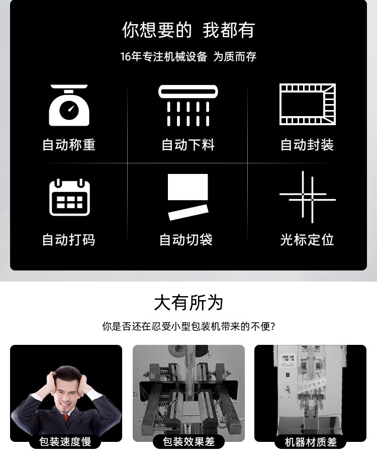 全自動粉末包裝機_02.jpg