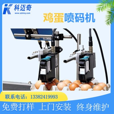雞蛋噴碼機LOGO日期在線全自動噴碼機外包裝打碼機編號打標機