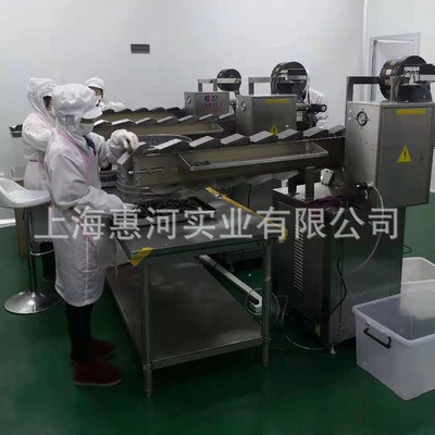 單個袋裝全自動黑芝麻丸包裝機 九蒸九曬蜂蜜黃精黑芝麻丸包裝機