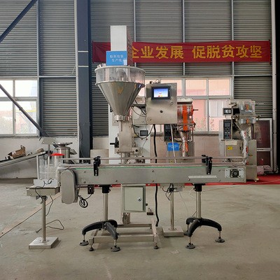 源頭廠家 快粘粉包裝機(jī) 小規(guī)格粉劑包裝機(jī) 電腦稱重石膏粉灌裝機(jī)