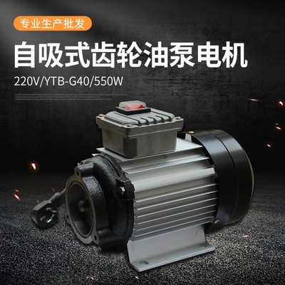 離心泵 鋁合金電動齒輪交流抽油泵電機220VYTB-G40550w離心油泵