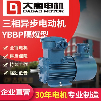 供應(yīng)大速電機(jī)YBBP系列電磁調(diào)速電機(jī)防爆變頻電機(jī)三相異步電動機(jī)