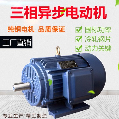 廠家直發三相異步電動機 YE2系列Y2 純銅 11kw-4 YE2-160M-4