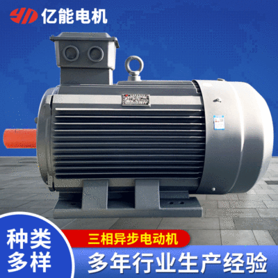 廠家供應 YX3系列80-355三相異步電動機 銅電動機