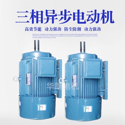 批發(fā) 三相異步交流電機(jī)YE2-315M-6三相高壓直流電機(jī) 寬頻三相電機(jī)