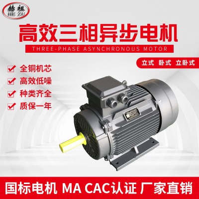 九派通【正品YX3-250M-4 55KW三相馬達/異步電動機/訊力電機