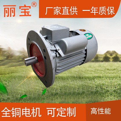 單相19軸徑立式法蘭盤電動機220V恒速550W單相異步電動機YL80L-4
