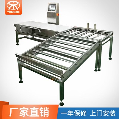 重載型檢重秤 箱裝稱重機(jī) 自動(dòng)稱重剔除機(jī)