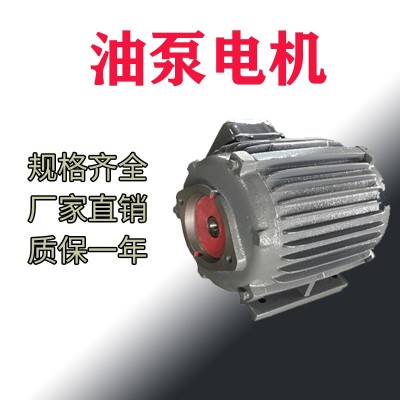 工廠可定制油泵電機VP/R1/HGP/CBN/柱塞泵電機1.5/2.2/5.5KW純銅