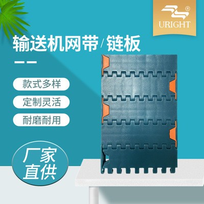 1000平面塑料PP網帶 食品級輸送機鏈板網帶 節距24.5輸送鏈條網帶