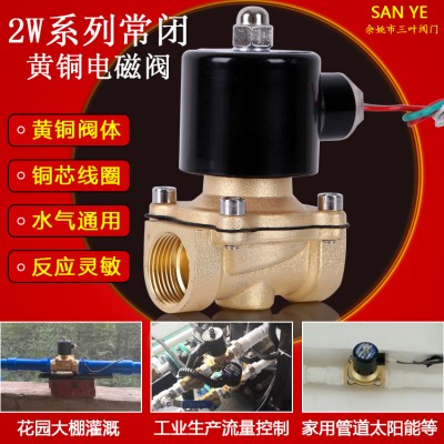 余姚三葉黃銅電磁閥開關閥220V24V水閥 絲扣閥4分6分1寸銅線圈