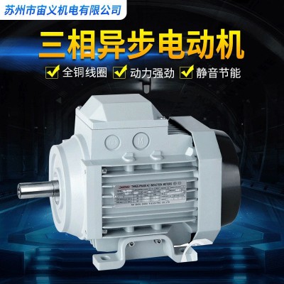 廠家供應(yīng)三相異步電動機自動化設(shè)備專用耐高溫變頻調(diào)速臥式Y(jié)S電機