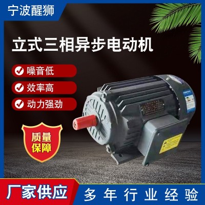15千瓦4級立式三相異步電機(jī)