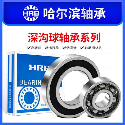 哈爾濱零類深溝球軸承6200 6201 6202 6203 6204 6205 2RZ