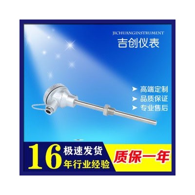 熱電偶鎧裝K型 鎧裝熱電阻 單支雙支A級PT100螺紋法蘭 溫度傳感器