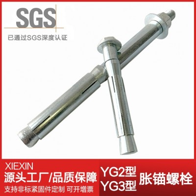 源頭工廠 YG2重型膨脹螺栓 地鐵脹錨螺栓 隧道高鐵錨栓 現貨YG3