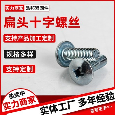 廠家供應(yīng)扁頭十字螺絲鍍鋅內(nèi)十字半圓頭螺栓4.8級(jí)全螺紋螺釘