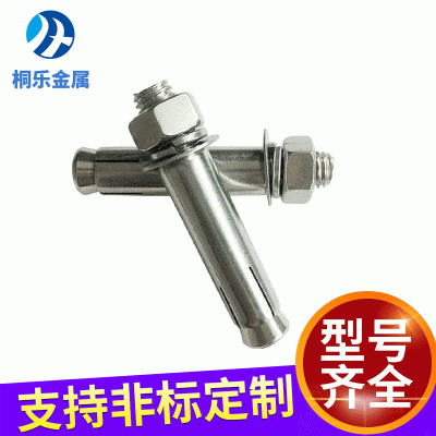 廠家304不銹鋼膨脹螺絲201不銹鋼外膨脹螺栓批發 拉爆螺絲M6-M16