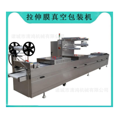 清鴻全自動真空包裝機 魚片包裝設備 連續式豆干辣條包裝機
