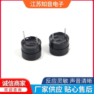 供應(yīng)12095有源分體5V蜂鳴器YMD12095型 歡迎咨詢