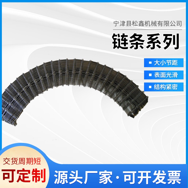 定制不銹鋼鏈條大小節距滾珠鏈條耐高溫轉彎鏈條工業傳動無聲鏈條