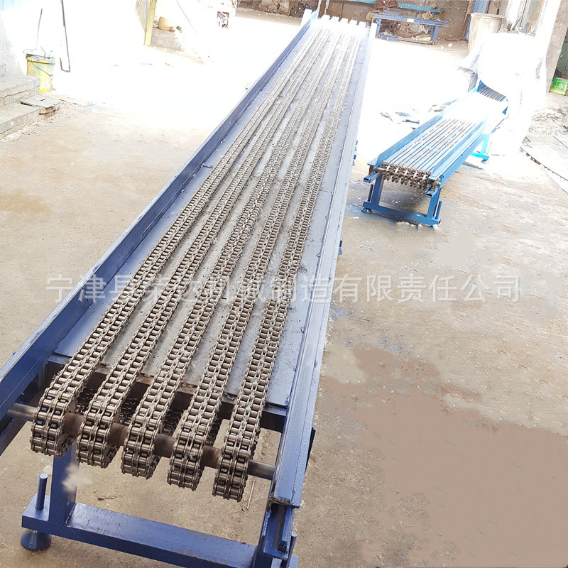 滾子鏈條輸送機(jī)6.jpg