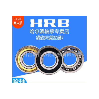 哈爾濱軸承6200 6201 6202 6203 6204 6205ZZ 2RZ 開式深溝球軸承