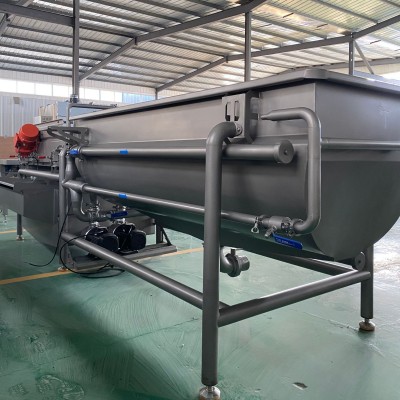 凈菜加工渦流清洗機 葉菜加工渦流清洗機 切絲大頭菜渦流清洗機