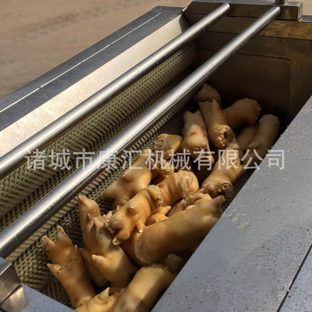 毛輥清洗機(jī) 洋蔥去皮機(jī) 商用毛輥脫皮清洗機(jī) 根莖蔬菜去皮去雜