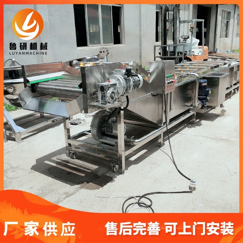 魯研牌多功能菠菜氣泡清洗機(jī) 可提升中藥材清洗設(shè)備 三七清洗機(jī)