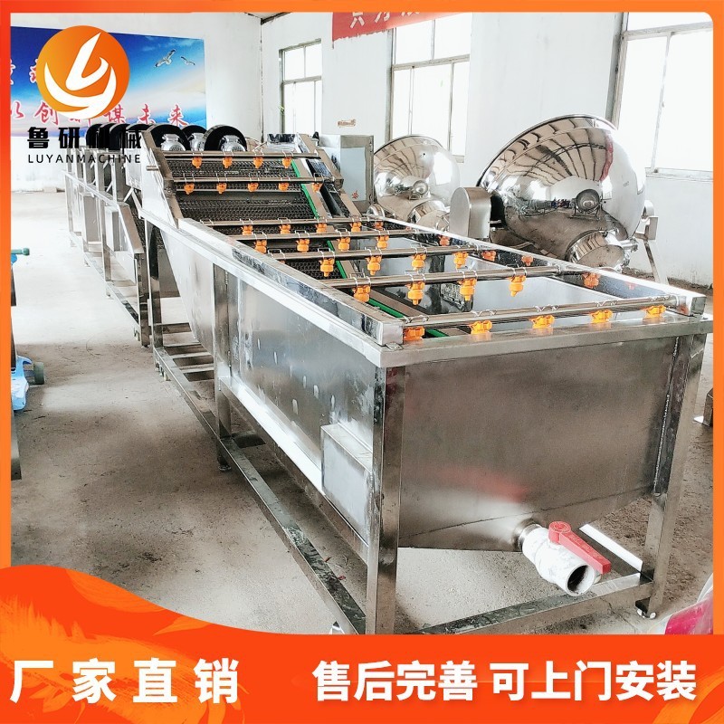 多功能氣泡粽葉清洗機(jī) 紅棗氣泡清洗機(jī) 薄荷葉清洗設(shè)備廠供應(yīng)
