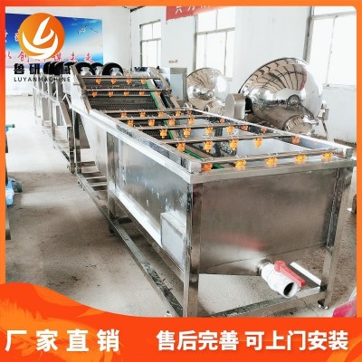 多功能氣泡粽葉清洗機(jī) 紅棗氣泡清洗機(jī) 薄荷葉清洗設(shè)備廠供應(yīng)