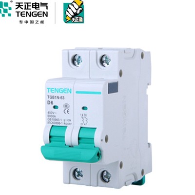 限量優惠TGB1N空氣開關1P/2P家用63A斷路器C型DZ47短路斷路保護器