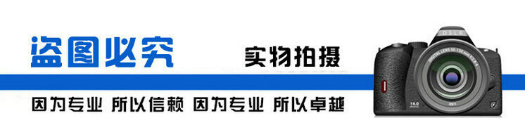 藍(lán)色盜圖標(biāo)簽_副本
