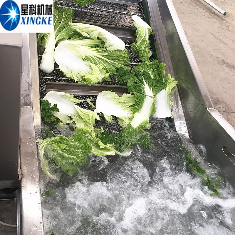 星科供應 洗魚機 洗菜設備 洗水果洗貝殼類 氣泡清洗機帶去沫