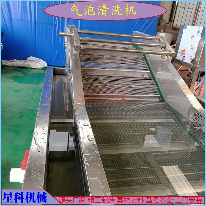 星科供應 橙子拋光打蠟設備 蓮藕去皮清洗設備 綠豆芽清洗設備