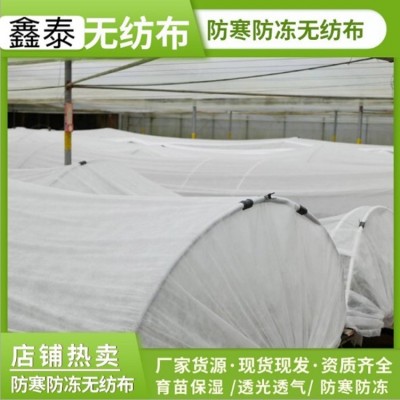 育苗大棚布植物蓋防凍罩農業用pp紡粘無紡布防霜凍保溫防寒無紡布