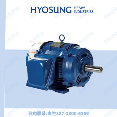 韓國(guó)HYOSUNG曉星電機(jī)TEFC/HSX系列高效鑄鐵三相異步電動(dòng)機(jī)HYOSUNG