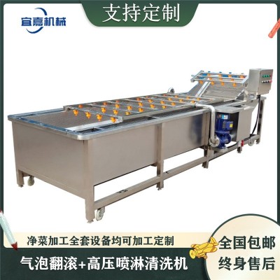 全自動氣泡果蔬清洗機不銹鋼葉類蔬菜洗菜設備瓜果自動洗果機