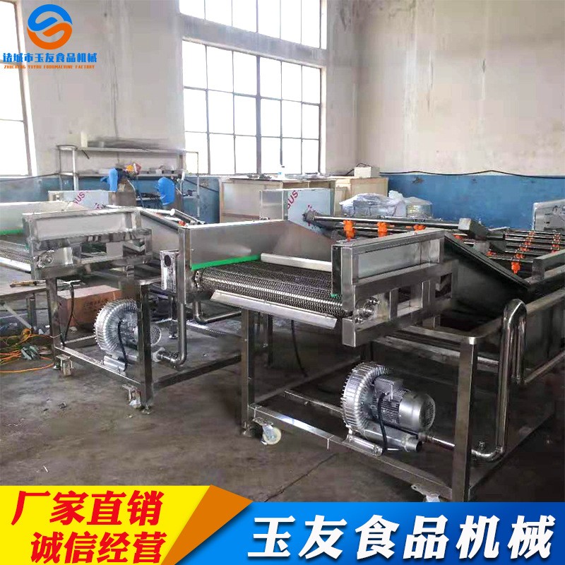 醬菜加工脫鹽清洗設(shè)備 果蔬清洗機 大型氣泡清洗機 不銹鋼洗菜機