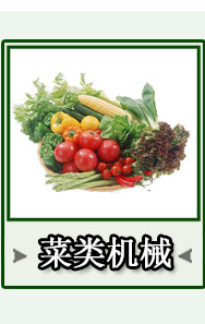 批發(fā)大型 大蒜加工設(shè)備大蒜脫皮機(jī)大蒜剝皮機(jī)大蒜去皮機(jī) 報價