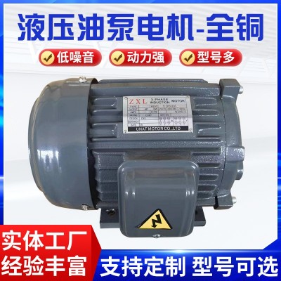 廠家供應交流電機三相異步電機液壓油泵電機內軸式（全銅） 1個