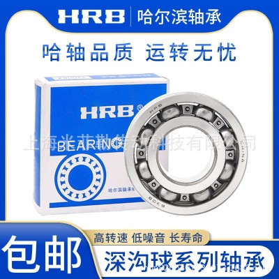 哈爾濱軸承6200 6201 6202 6203 6204深溝球軸承電動(dòng)車(chē)ZZ 2R Z 2RS  1個(gè)