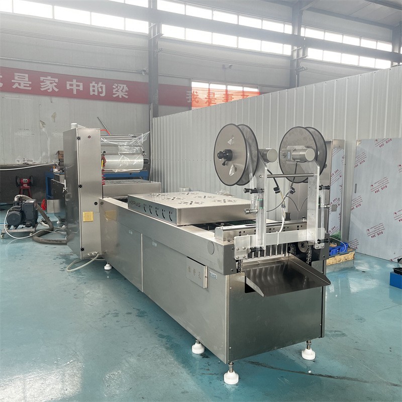 魚排拉伸膜真空包裝機 熟食抽真空包裝機 袋裝零食封口機