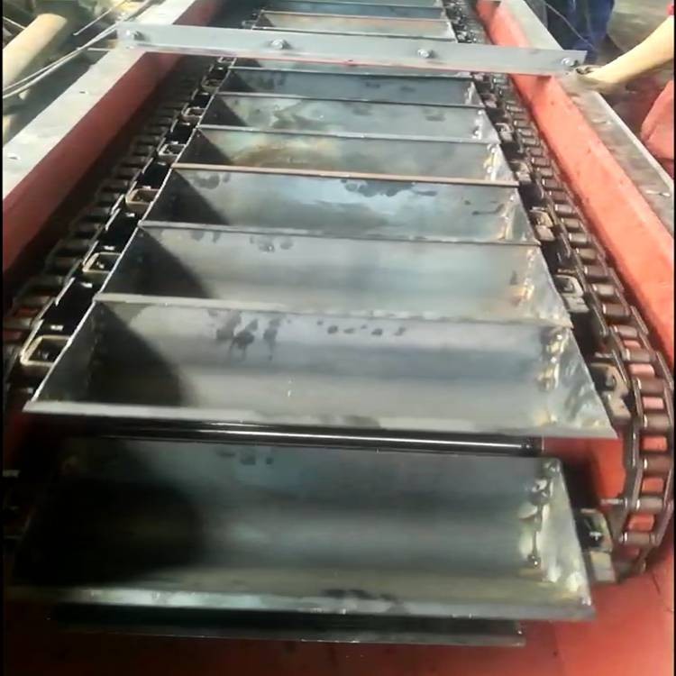 東震輸送不銹鋼Z型提升機 不銹鋼Z型提升機生產廠家