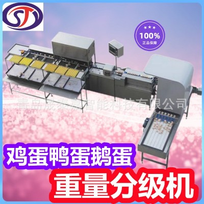 晟泰嘉雙排選蛋機(jī) 裂紋雞蛋檢測機(jī)器 自動選蛋機(jī)系統(tǒng)判斷壞蛋
