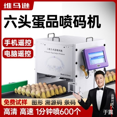 全自動流水線六噴頭雞蛋噴碼機打生產(chǎn)日期圖形流水線在線打碼機